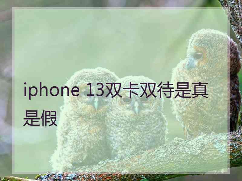 iphone 13双卡双待是真是假