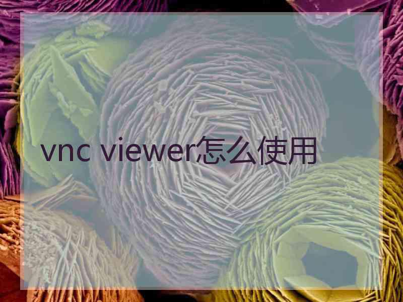 vnc viewer怎么使用