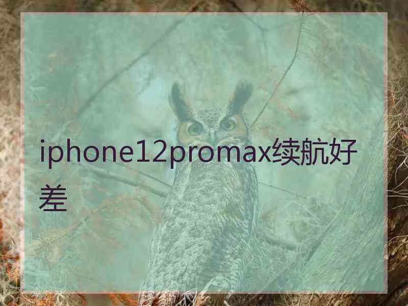 iphone12promax续航好差