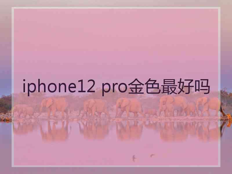 iphone12 pro金色最好吗