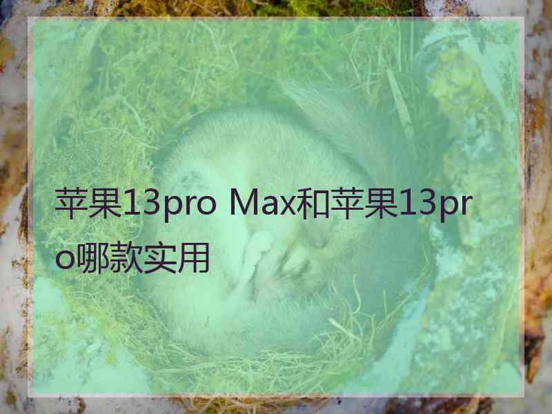 苹果13pro Max和苹果13pro哪款实用