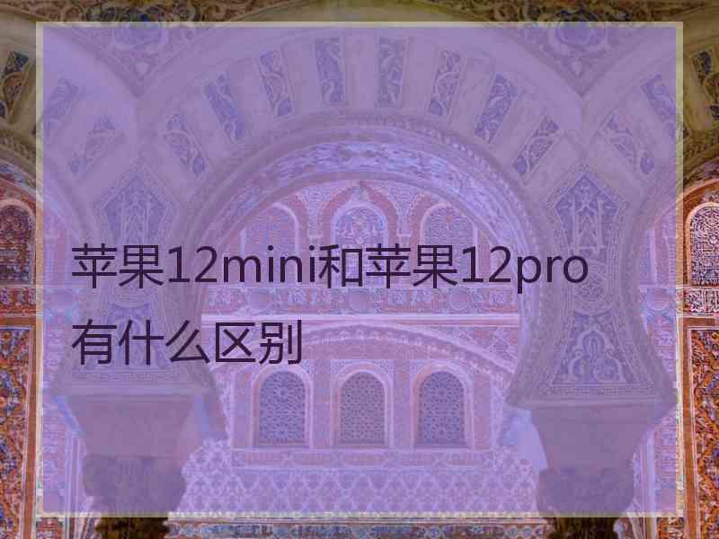 苹果12mini和苹果12pro有什么区别