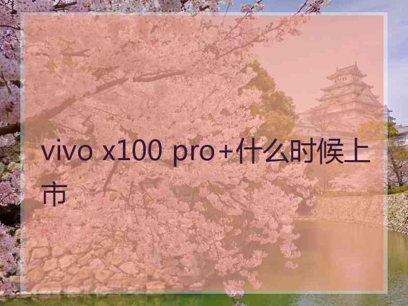 vivo x100 pro+什么时候上市