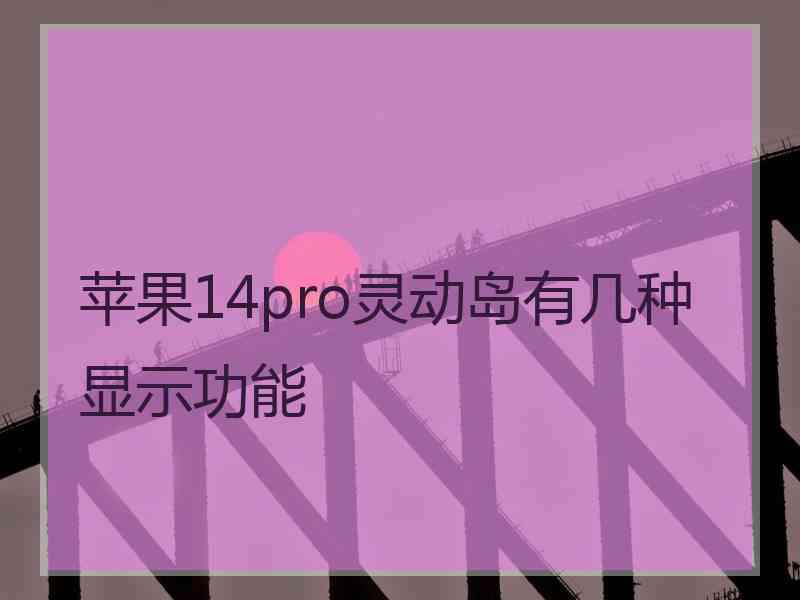 苹果14pro灵动岛有几种显示功能