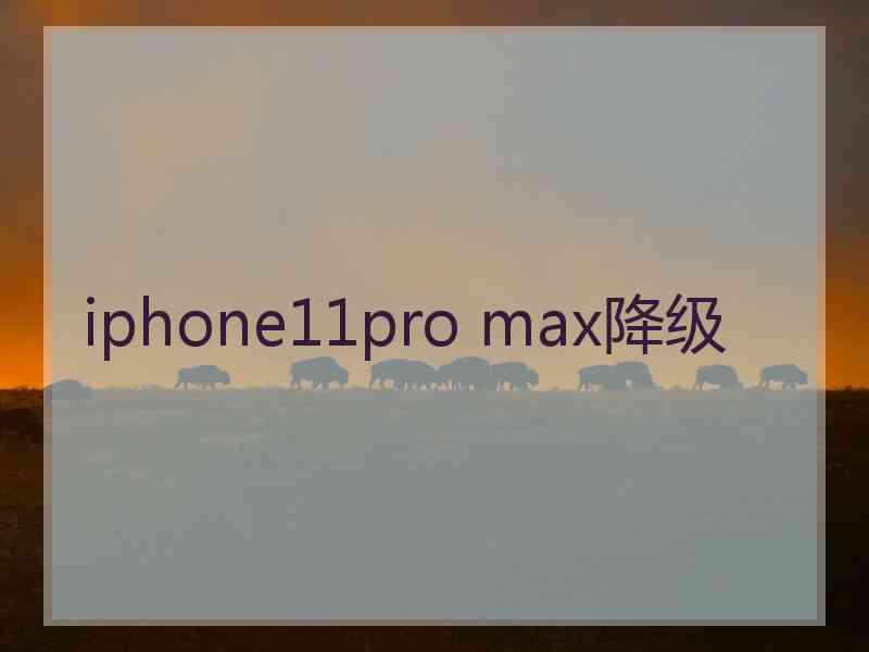 iphone11pro max降级