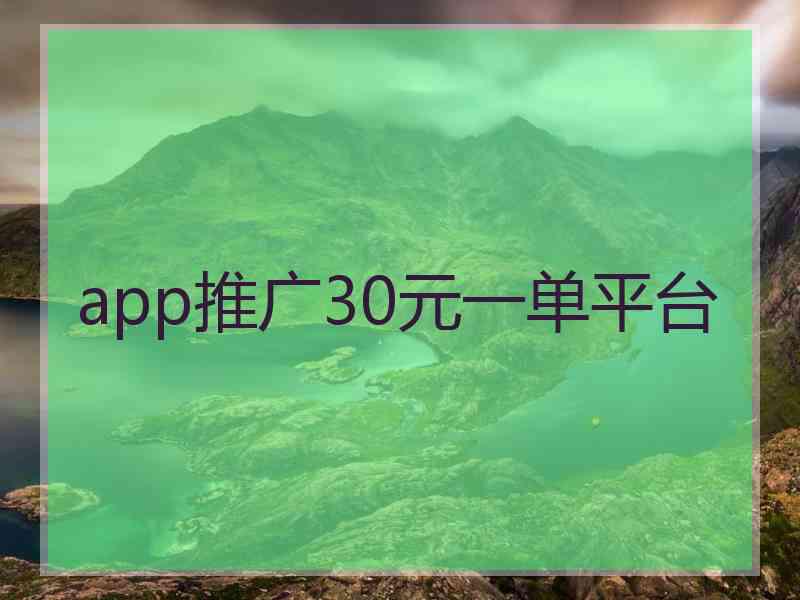 app推广30元一单平台