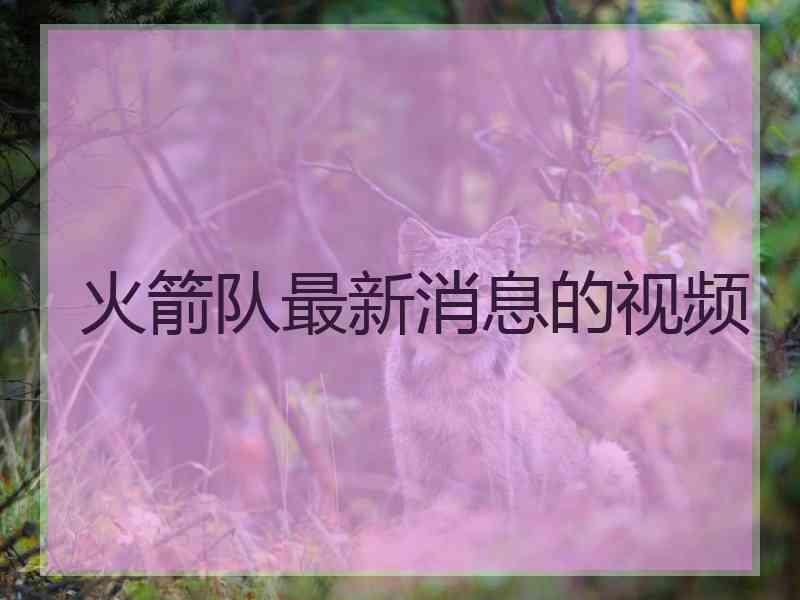 火箭队最新消息的视频