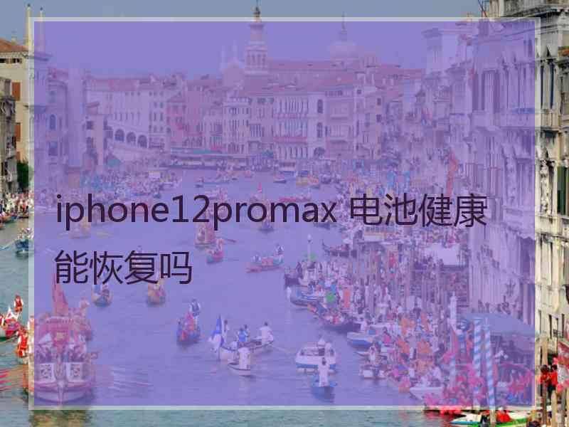 iphone12promax 电池健康能恢复吗