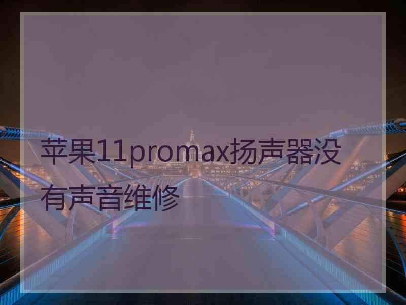 苹果11promax扬声器没有声音维修