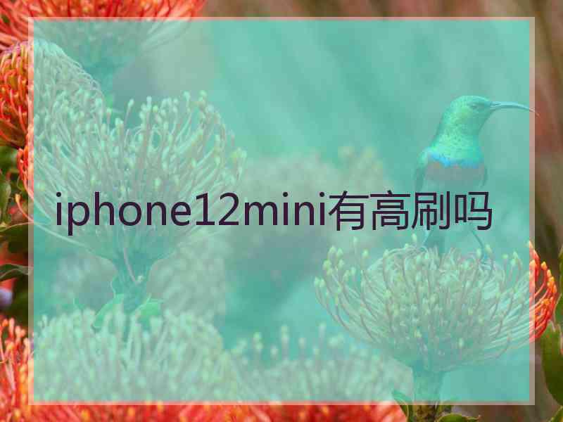 iphone12mini有高刷吗