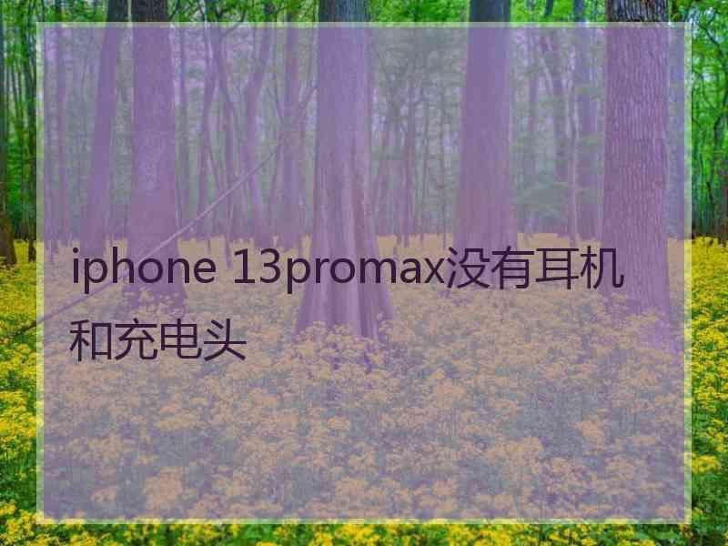 iphone 13promax没有耳机和充电头