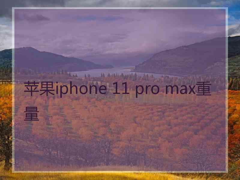 苹果iphone 11 pro max重量