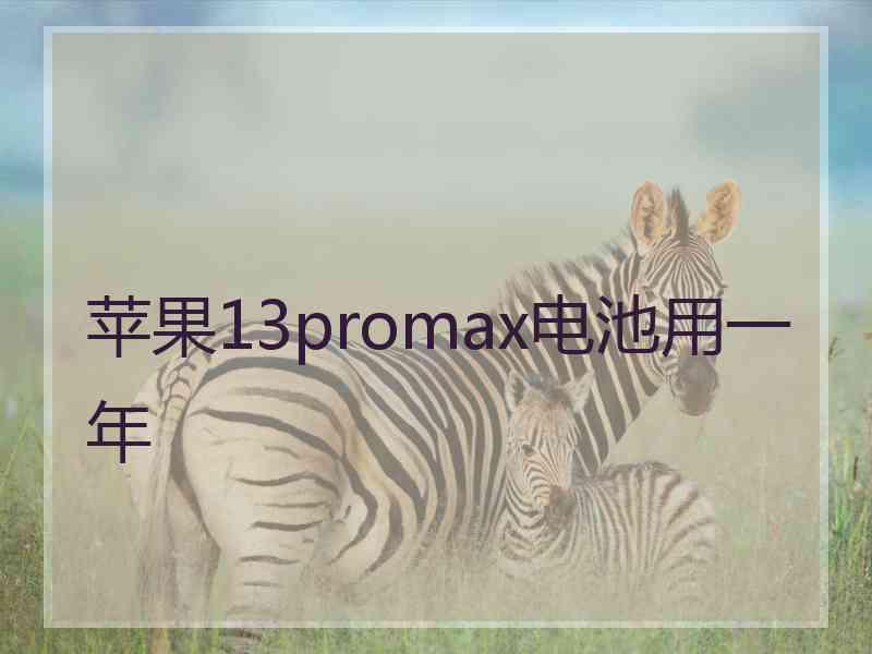 苹果13promax电池用一年