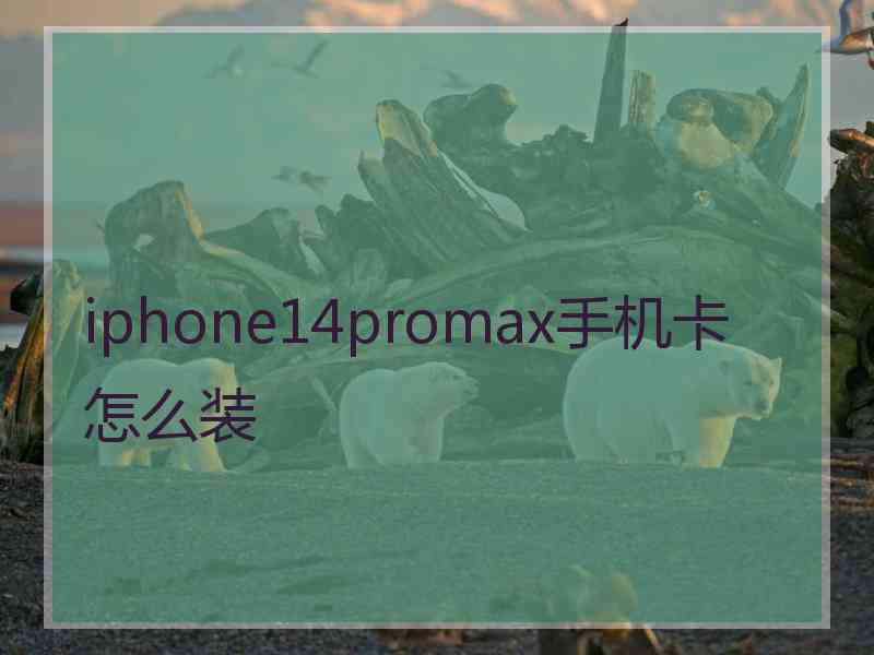 iphone14promax手机卡怎么装