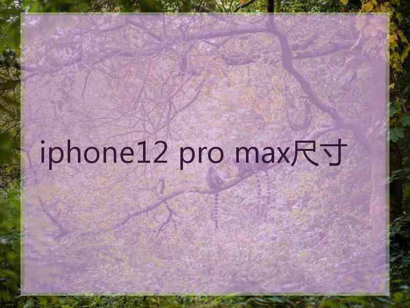 iphone12 pro max尺寸