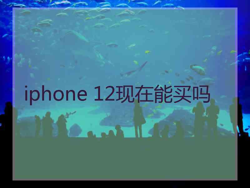 iphone 12现在能买吗