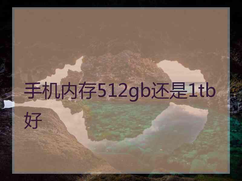 手机内存512gb还是1tb好