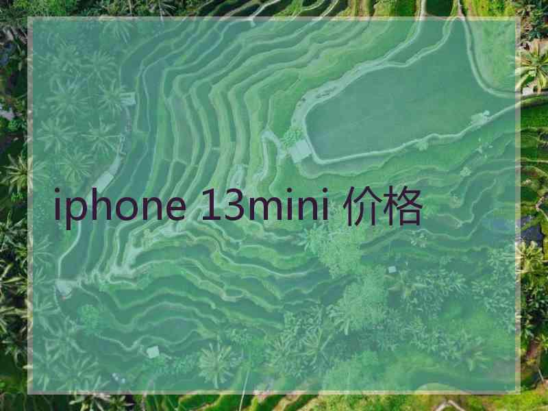 iphone 13mini 价格