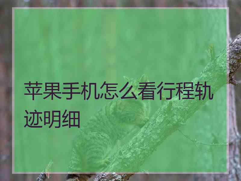 苹果手机怎么看行程轨迹明细