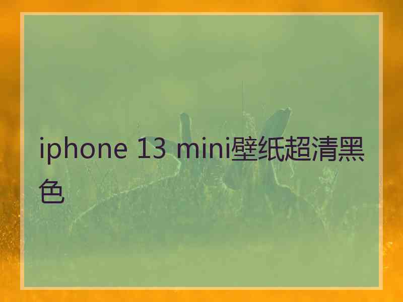 iphone 13 mini壁纸超清黑色