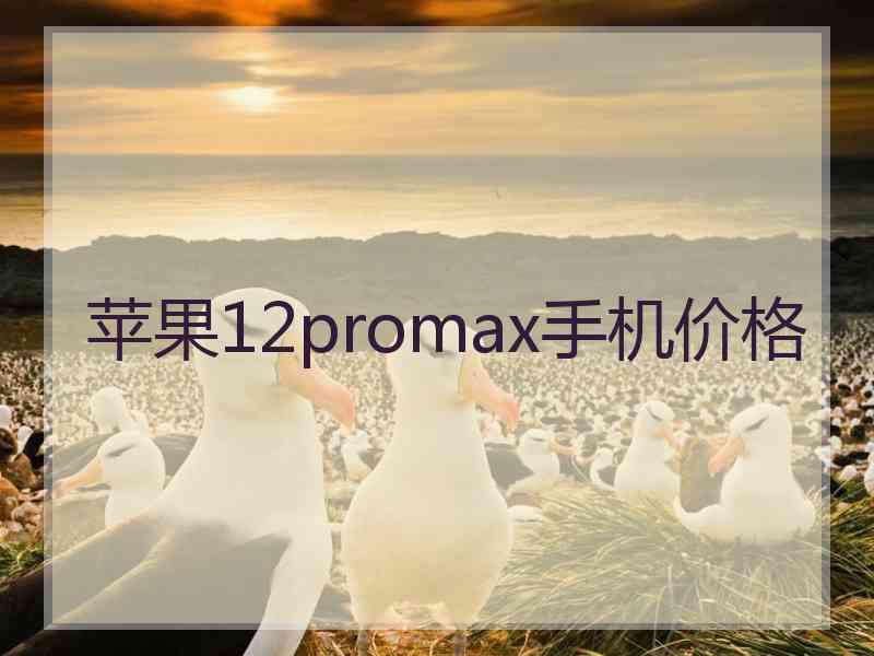 苹果12promax手机价格