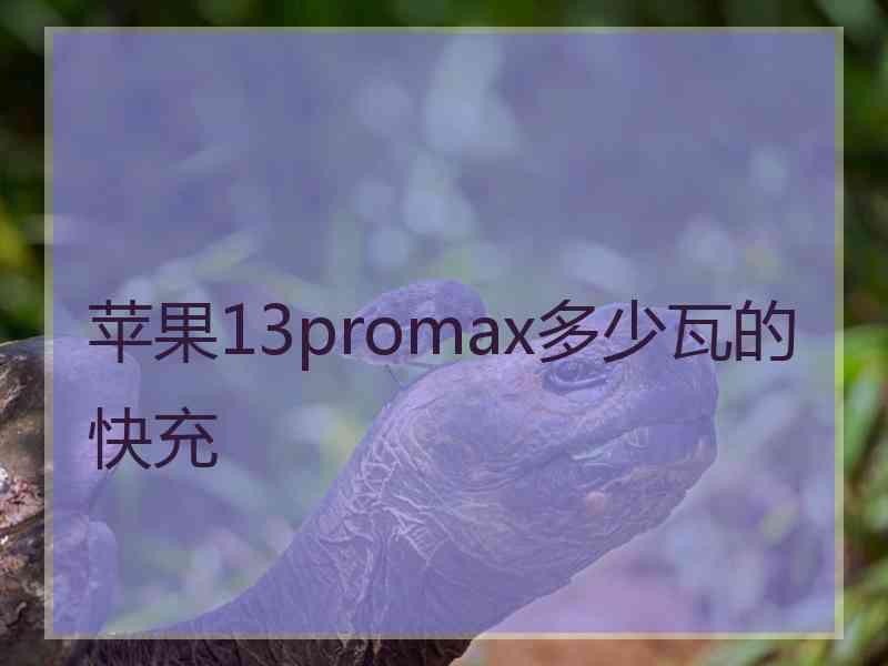 苹果13promax多少瓦的快充