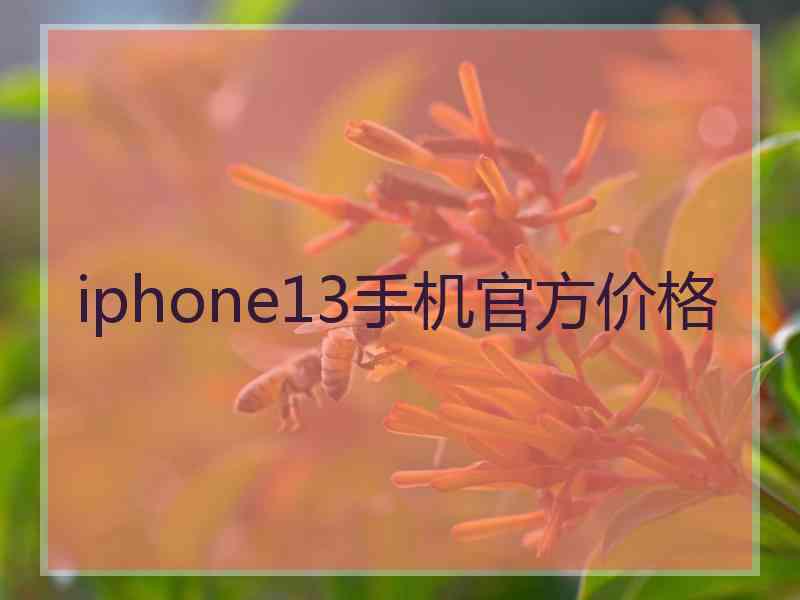 iphone13手机官方价格