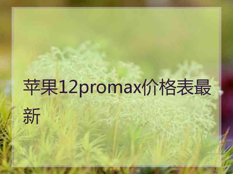 苹果12promax价格表最新