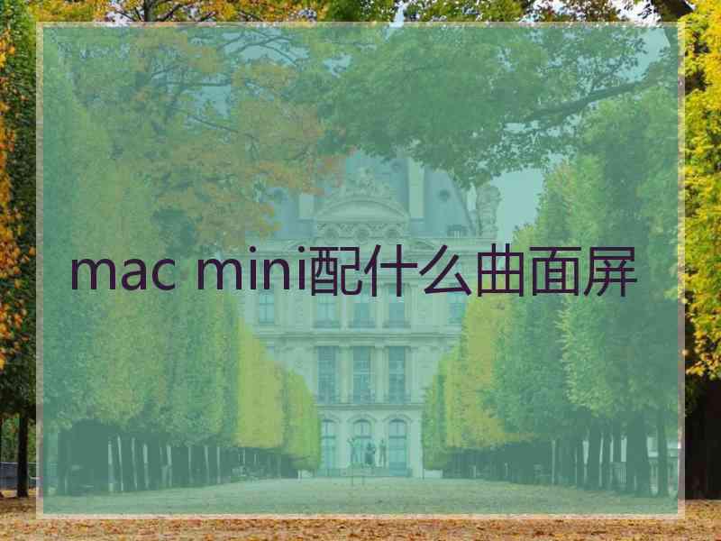 mac mini配什么曲面屏