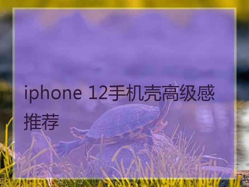 iphone 12手机壳高级感推荐