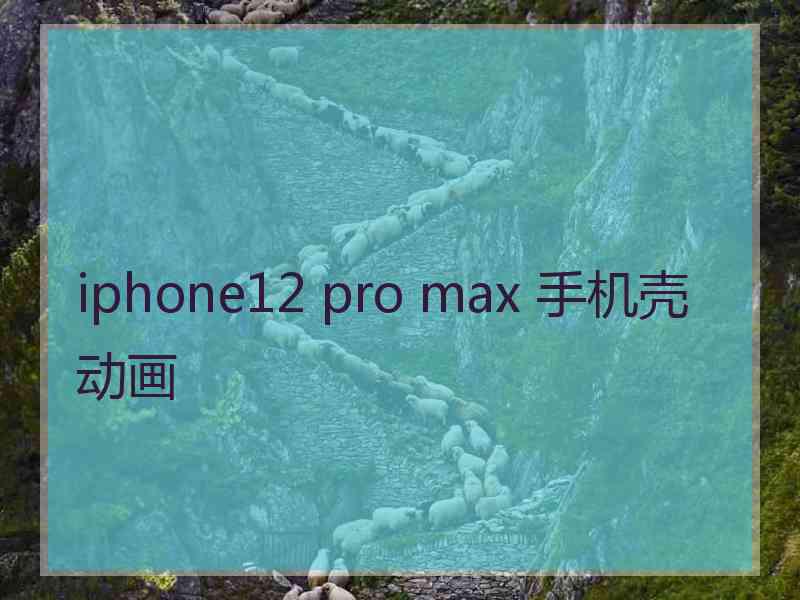 iphone12 pro max 手机壳动画