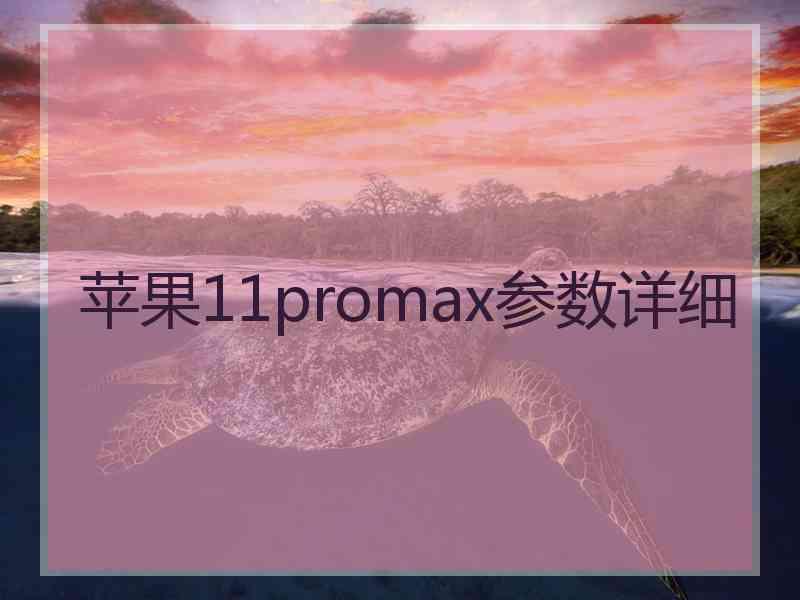 苹果11promax参数详细