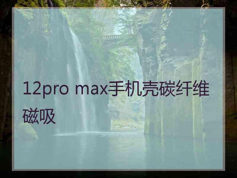 12pro max手机壳碳纤维磁吸