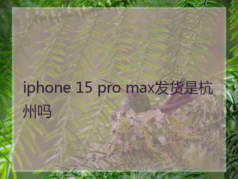 iphone 15 pro max发货是杭州吗