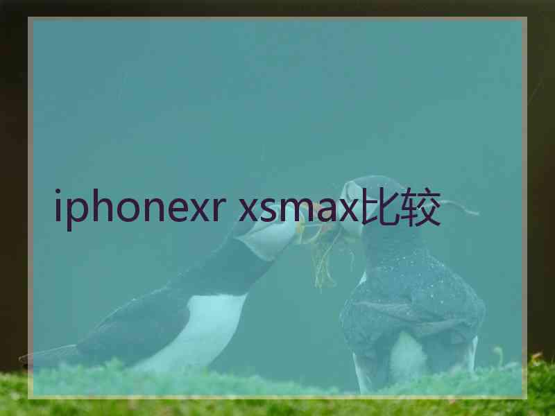 iphonexr xsmax比较