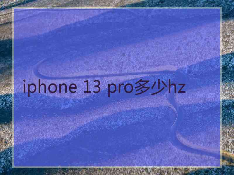 iphone 13 pro多少hz