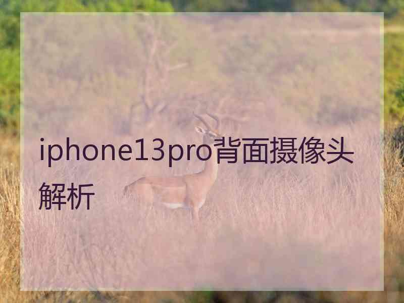 iphone13pro背面摄像头解析