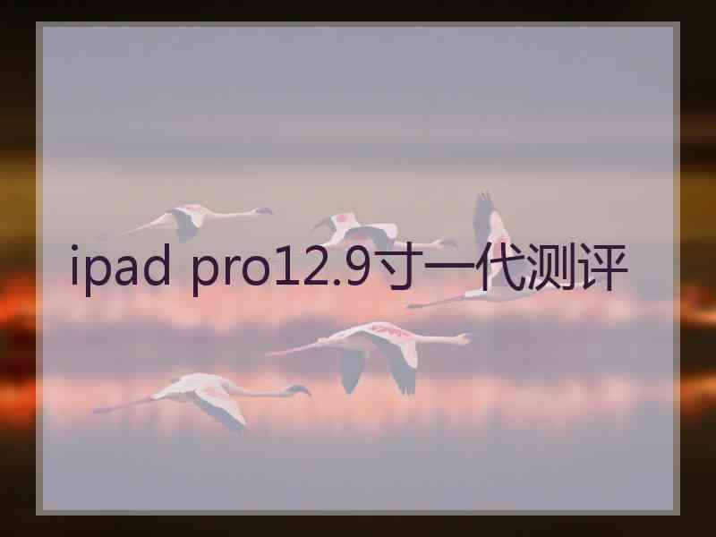 ipad pro12.9寸一代测评