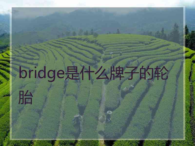 bridge是什么牌子的轮胎