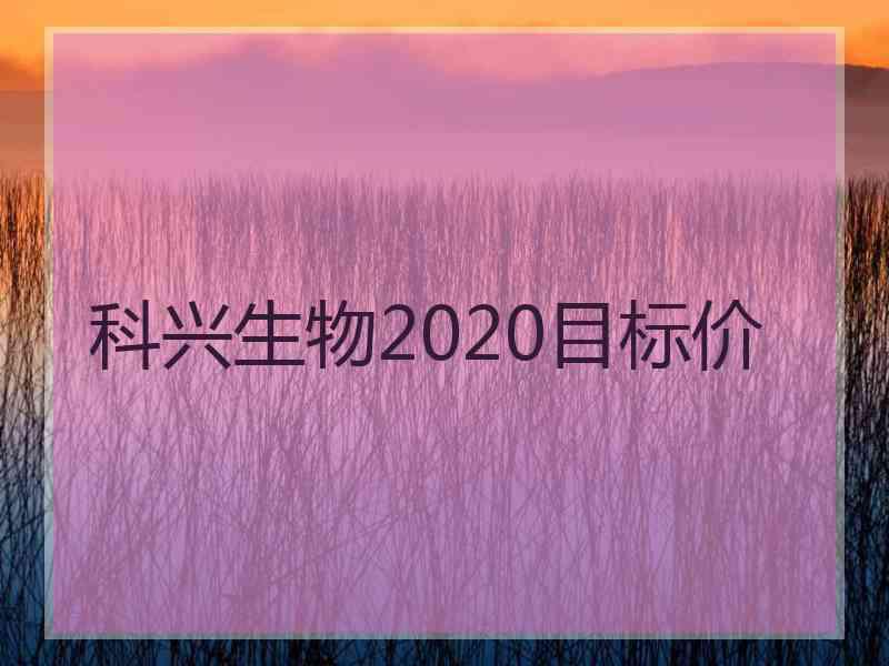 科兴生物2020目标价