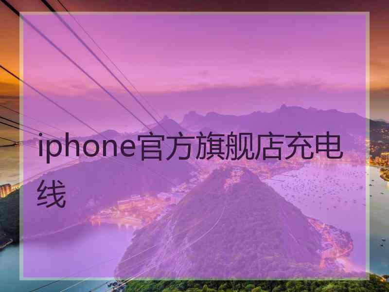 iphone官方旗舰店充电线