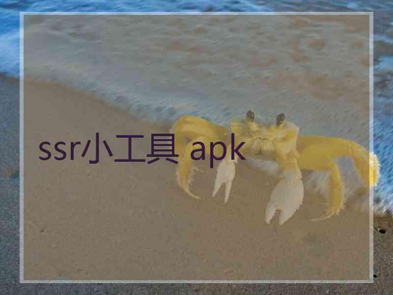 ssr小工具 apk