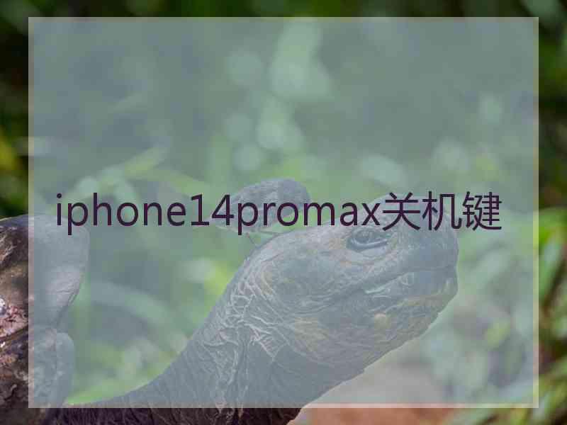 iphone14promax关机键