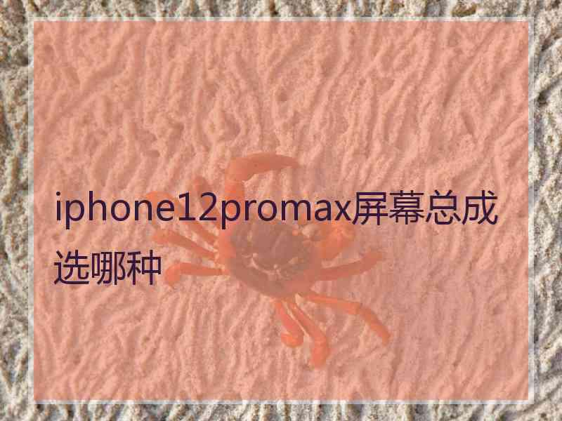 iphone12promax屏幕总成选哪种