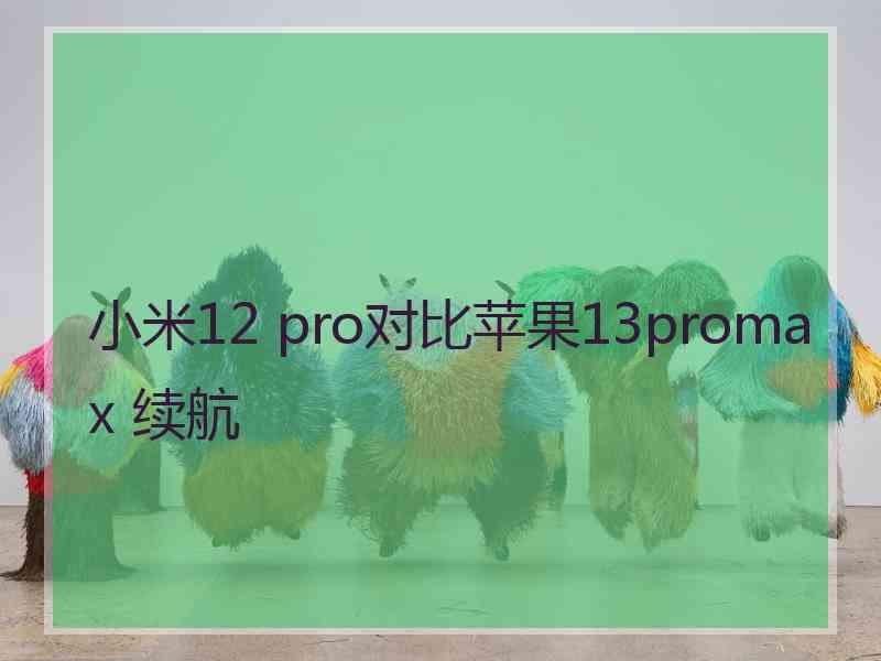 小米12 pro对比苹果13promax 续航