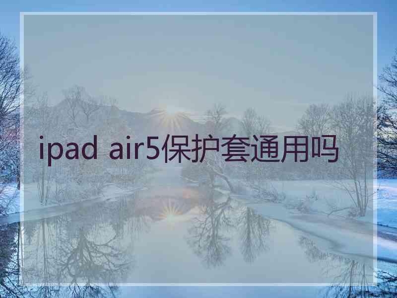 ipad air5保护套通用吗