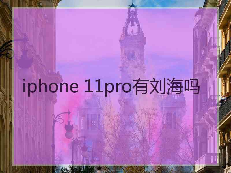 iphone 11pro有刘海吗