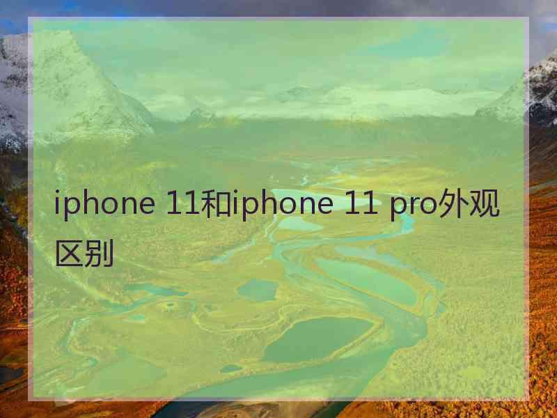 iphone 11和iphone 11 pro外观区别