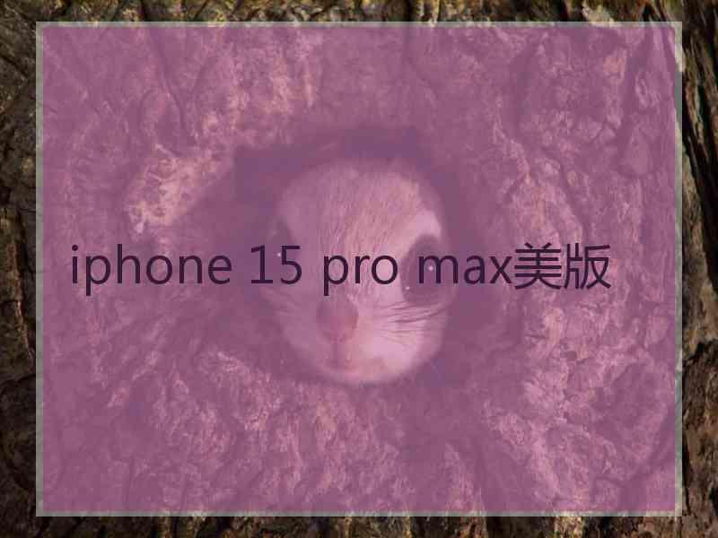 iphone 15 pro max美版