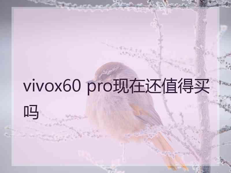 vivox60 pro现在还值得买吗